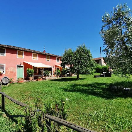 Agriturismo Al Podere Di Rosa 루카 외부 사진