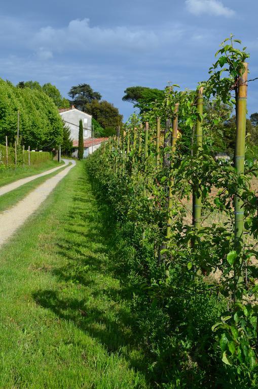 Agriturismo Al Podere Di Rosa 루카 외부 사진