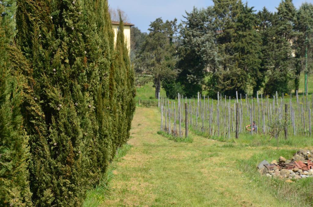 Agriturismo Al Podere Di Rosa 루카 외부 사진